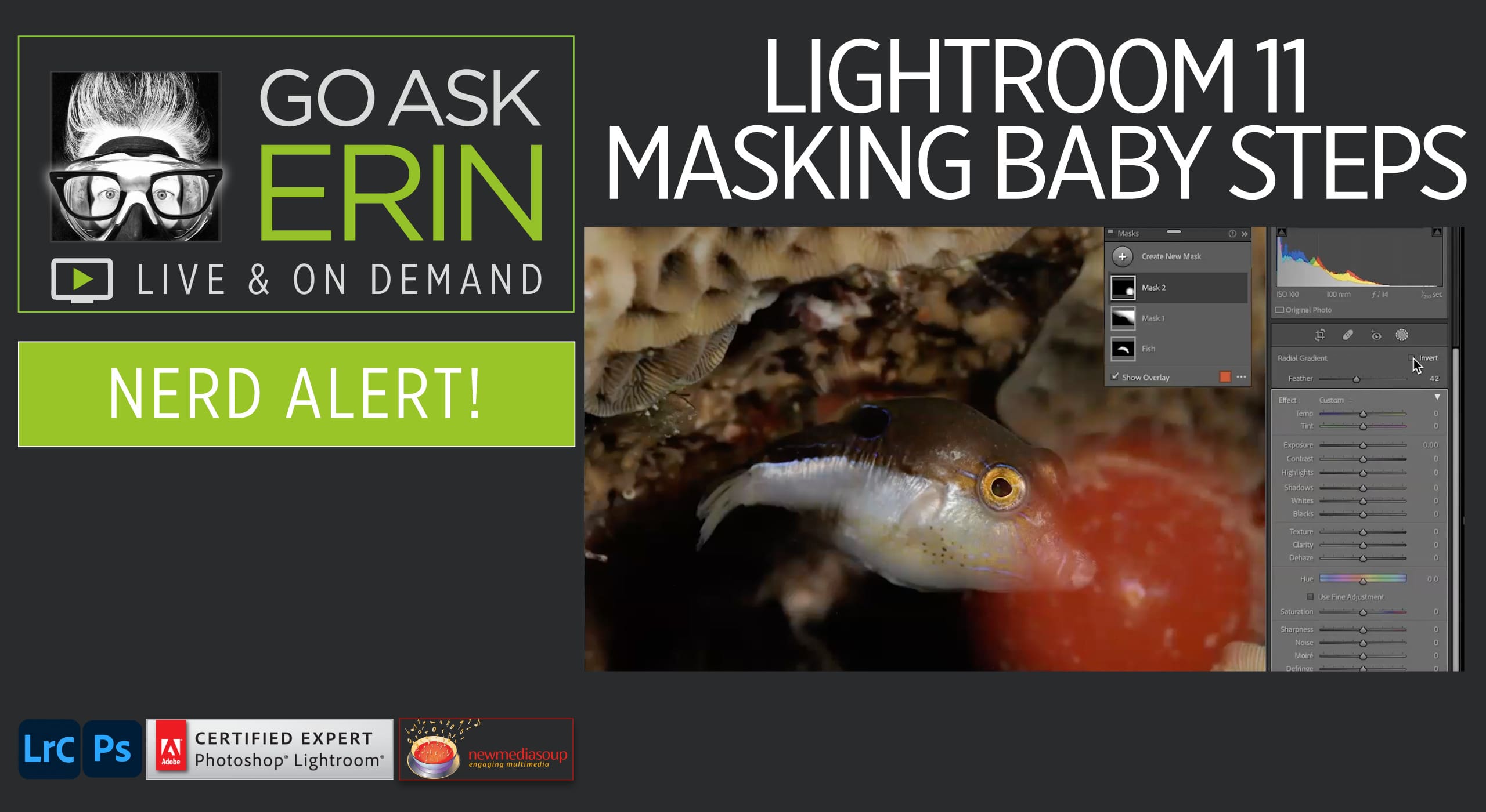 Nerd Alert  Lightroom 11 Masking Baby Steps Go Ask Erin 